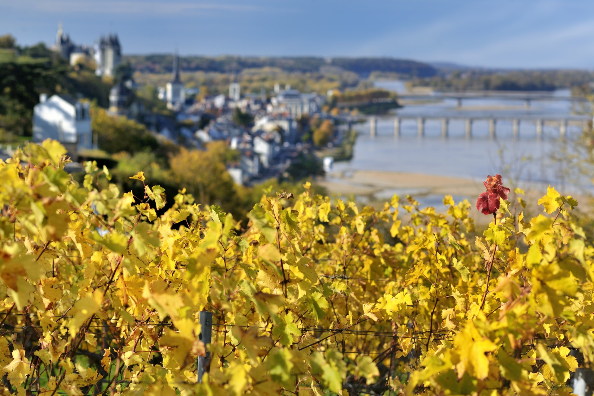 Vue sur la Loire Chez Gratien Meyer